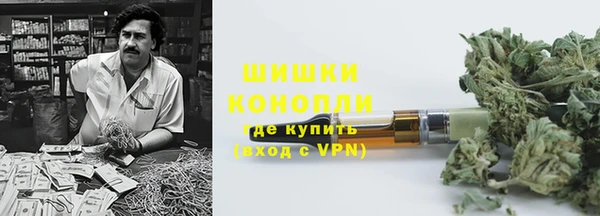 твердый Алзамай